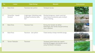 No Lokasi Objek Biologi Masalah Dokumentasi 
16 Balai Kota Tanaman dan pohon Terdapat benalu 
17 TamanSari bawah 
(kostan) 
Lingkungan (didnding yang 
terdapat tumbuhan paku 
liar) 
Dinding bangunan cepat rusak dan 
retak karena tumbuhan paku tumbuh 
di area dinding. 
18 Balai Kota Tanaman hias Kering dan hampir ati akibat 
kekeringan dan terlalu banyak terkena 
sinar matahari. 
19 Balai Kota Tanaman dan pohon Tidak berdaun tetapi memiliki bunga. 
20 Taman Teletubis Tanaman Terdapat bintik-bintik dan seperti 
bolong dihinggapi sekumpulan semut 
yang membuant sarangnya. 
 
