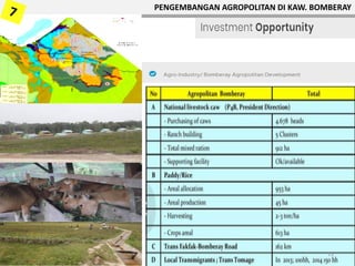 PENGEMBANGAN AGROPOLITAN DI KAW. BOMBERAY
13
 