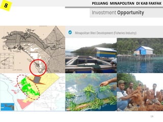 PELUANG MINAPOLITAN DI KAB FAKFAK
14
 