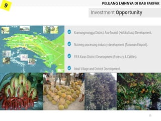 PELUANG LAINNYA DI KAB FAKFAK
15
 