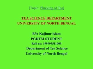 [Topic: Plucking of Tea]
TEA SCIENCE DEPARTMENT
UNIVERSITY OF NORTH BENGAL
BY: Kajinur islam
PGDTM STUDENT
Roll no: 199993511009
Department of Tea Science
University of North Bengal
 