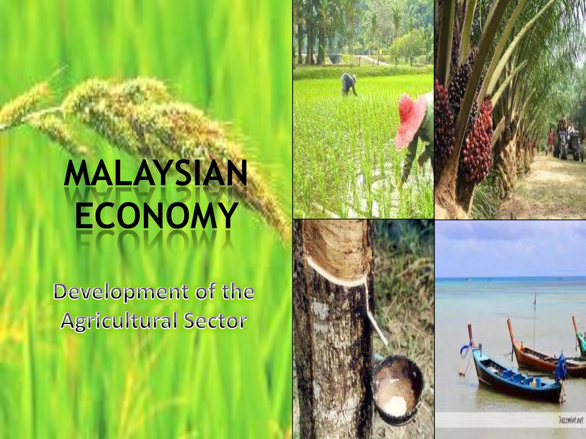 The development of the agriculture sector in Malaysia