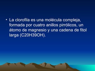 La clorofila es una molécula compleja, formada por cuatro anillos pirrólicos, un átomo de magnesio y una cadena de fitol larga (C20H39OH). 