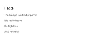 Facts
The kakapo is a kind of parrot
It is really heavy
It’s flightless
Also noctunal
 