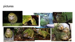 pictures
 