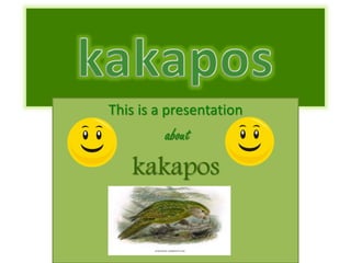 This is a presentation
about
kakapos
 