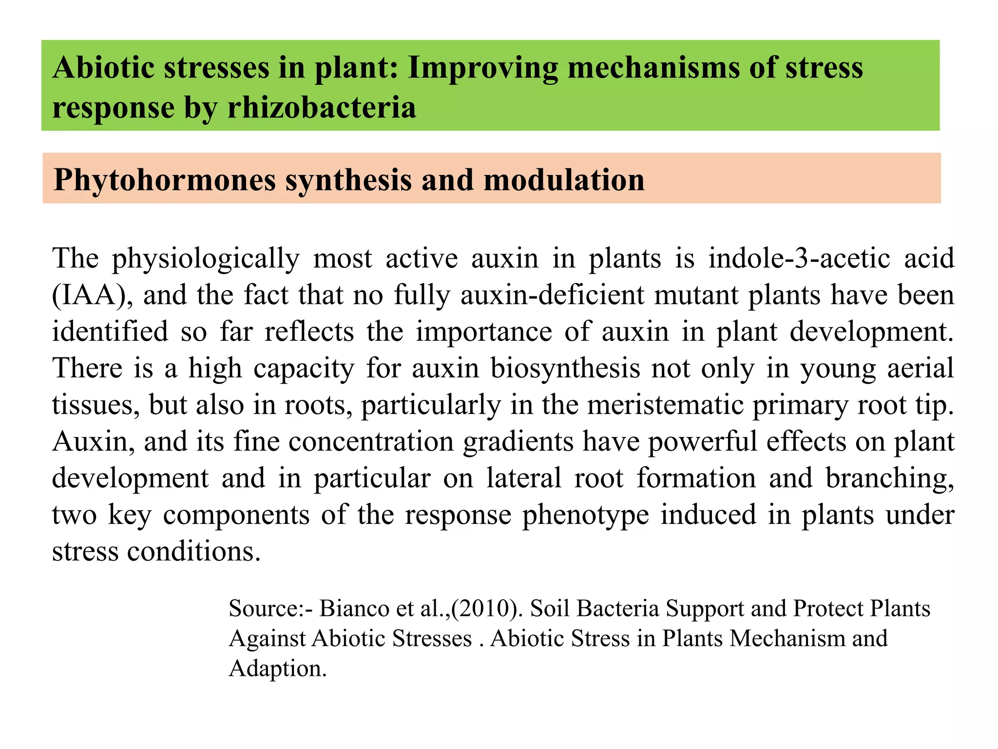 Modulated Roots SOIL MICROORGANISMS AND THERE ROLE IN ABIOTIC STRESS MANAGEMENT | PPT