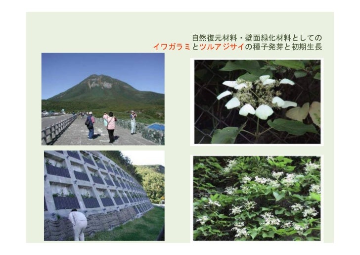 Environmental Horticulture Landscape Architecture Environmental Horticulture Landscape Architecture