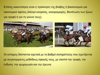 Επίσης κακοποίηση είναι η πρόκληση της βλάβης ή βασανισμού για
οικονομικό όφελος (άλογα κούρσας, κοκορομαχίες, θανάτωση των ζώων
για τροφή ή για τη γούνα τους).
Οι απόψεις διίστανται σχετικά με το βαθμό σκληρότητας που σχετίζονται
με συγκεκριμένες μεθόδους σφαγής τους, με σκοπό την τροφή, την
ένδυση, την ψυχαγωγία και την έρευνα
 