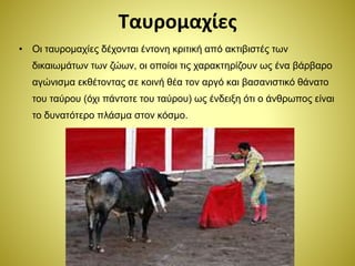 Ταυρομαχίες
• Οι ταυρομαχίες δέχονται έντονη κριτική από ακτιβιστές των
δικαιωμάτων των ζώων, οι οποίοι τις χαρακτηρίζουν ως ένα βάρβαρο
αγώνισμα εκθέτοντας σε κοινή θέα τον αργό και βασανιστικό θάνατο
του ταύρου (όχι πάντοτε του ταύρου) ως ένδειξη ότι ο άνθρωπος είναι
το δυνατότερο πλάσμα στον κόσμο.
 