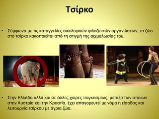 Τσίρκο
• Σύμφωνα με τις καταγγελίες οικολογικών φιλοζωικών οργανώσεων, το ζώο
στο τσίρκο κακοποιείται από τη στιγμή της αιχμαλωσίας του.
• Στην Ελλάδα αλλά και σε άλλες χώρες παγκοσμίως, μεταξύ των οποίων
στην Αυστρία και την Κροατία, έχει απαγορευτεί με νόμο η είσοδος και
λειτουργία τσίρκου με άγρια ζώα.
 