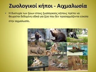 Ζωολογικοί κήποι - Αιχμαλωσία
• Η δυστυχία των ζώων στους ζωολογικούς κήπους πρέπει να
θεωρείται δεδομένη ειδικά για ζώα που δεν προσαρμόζονται εύκολα
στην αιχμαλωσία.
 