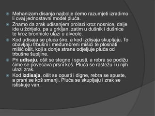 KAKO NAPRAVITI MODEL PLU A visual data 3