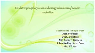 Oxidative phosphorylation and energy calculation of aerobic
respiration
Submitted to : Tridip Boruah
Asst. Professor
Dept. of Botany
MC. College ,Barpeta
Submitted by : Kaku Deka
Msc 2nd Sem
 