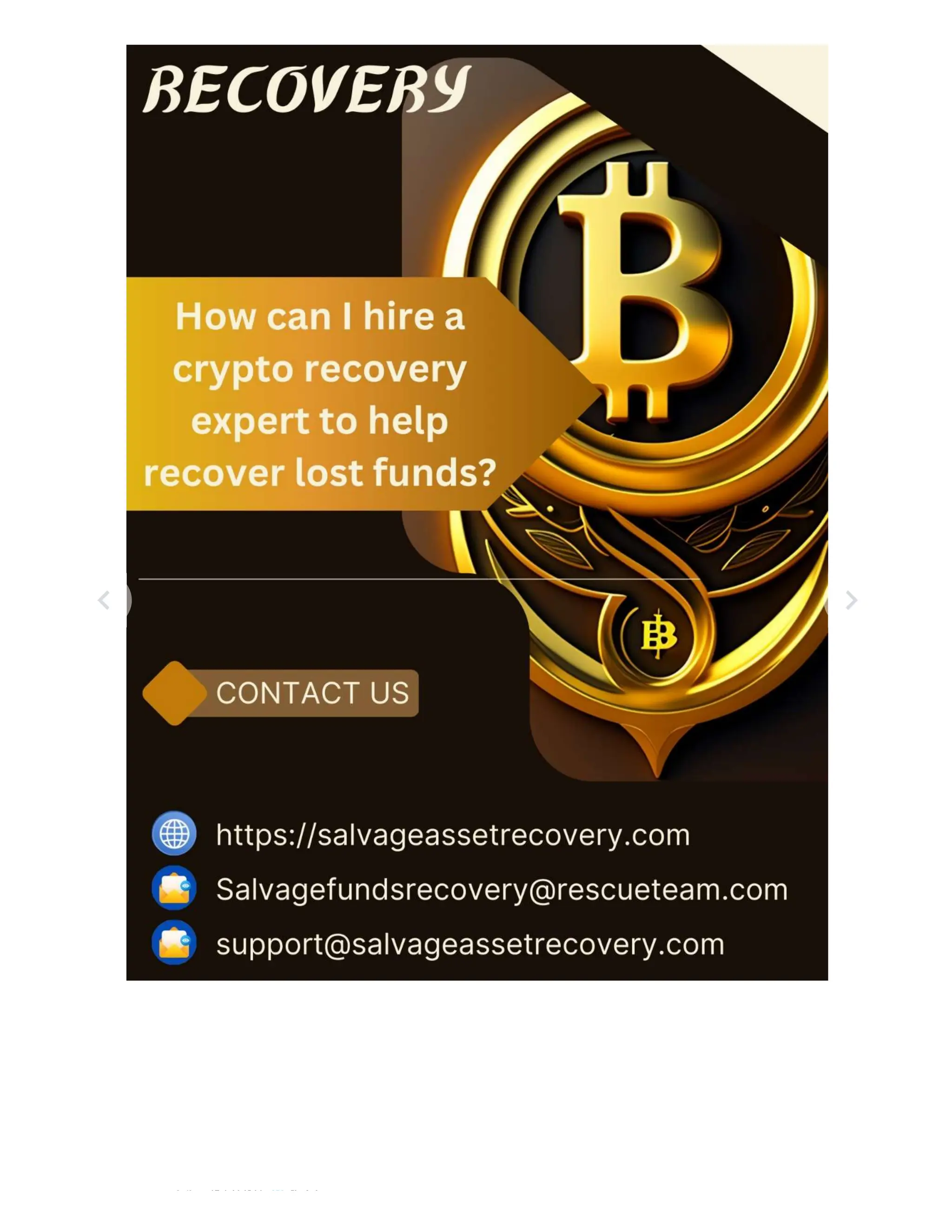 Hire Bitcoin Recovery Experts, A trusted cryptocurrency recovery  expert-Consult Salvage Asset Recovery | PDF