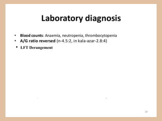 Lft De Rangement Algorithm Kala azar | PDF