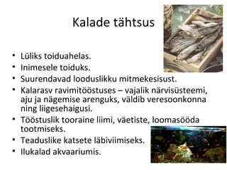 Kalade tähtsus

• Lüliks toiduahelas.
• Inimesele toiduks.
• Suurendavad looduslikku mitmekesisust.
• Kalarasv ravimitööstuses – vajalik närvisüsteemi,
  aju ja nägemise arenguks, väldib veresoonkonna
  ning liigesehaigusi.
• Tööstuslik tooraine liimi, väetiste, loomasööda
  tootmiseks.
• Teaduslike katsete läbiviimiseks.
• Ilukalad akvaariumis.
 
