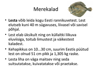 Merekalad
• Lesta võib leida kogu Eesti rannikuvetest. Lest
  elutseb kuni 40 m sügavuses, liivasel või savisel
  põhjal.
• Lest elab üksikult ning on küllaltki liikuva
  eluviisiga, toitub limustest ja väikestest
  kaladest.
• Kehapikkus on 10...30 cm, suurim Eestis püütud
  lest on olnud 51 cm pikk ja 1,305 kg raske.
• Lesta liha on väga maitsev ning seda
  suitsutatakse, kuivatatakse või praetakse.
 