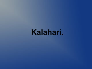 Kalahari.
 