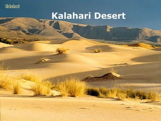 Kalahari Desert 