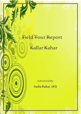Field Tour Report
KallarKahar
Submitted By:
Sadia Rahat (43)
 