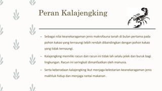 Peran Kalajengking
– Sebagai nilai keanekaragaman jenis makrofauna tanah di bulan pertama pada
pohon kakao yang ternaungi lebih rendah dibandingkan dengan pohon kakao
yang tidak ternaungi.
– Kalajengking memiliki racun dan racun ini tidak lah selalu jelek dan buruk bagi
lingkungan. Racun ini seringkali dimanfaatkan oleh manusia.
– Serta keberadaan kalajengking ikut menjaga kelestarian keanekaragaman jenis
makhluk hidup dan menjaga rantai makanan .
 