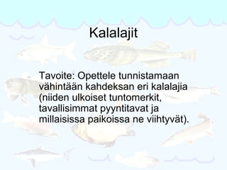 Kalalajit


Tavoite: Opettele tunnistamaan
vähintään kahdeksan eri kalalajia
(niiden ulkoiset tuntomerkit,
tavallisimmat pyyntitavat ja
millaisissa paikoissa ne viihtyvät).
 