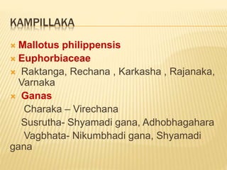 KAMPILLAKA
 Mallotus philippensis
 Euphorbiaceae
 Raktanga, Rechana , Karkasha , Rajanaka,
Varnaka
 Ganas
Charaka – Vi...