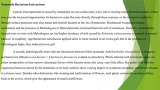 INTERACTION OF NEMATODES WITH OTHER ORGANISM. | PPTX