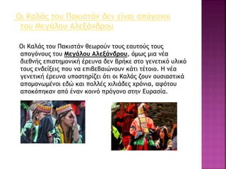 Οι Καλάς του Πακιστάν δεν είναι απόγονοι
του Μεγάλου Αλεξάνδρου
Οι Καλάς του Πακιστάν θεωρούν τους εαυτούς τους
απογόνους του Μεγάλου Αλεξάνδρου, όμως μια νέα
διεθνής επιστημονική έρευνα δεν βρήκε στο γενετικό υλικό
τους ενδείξεις που να επιβεβαιώνουν κάτι τέτοιο. Η νέα
γενετική έρευνα υποστηρίζει ότι οι Καλάς ζουν ουσιαστικά
απομονωμένοι εδώ και πολλές χιλιάδες χρόνια, αφότου
αποκόπηκαν από έναν κοινό πρόγονο στην Ευρασία.
 