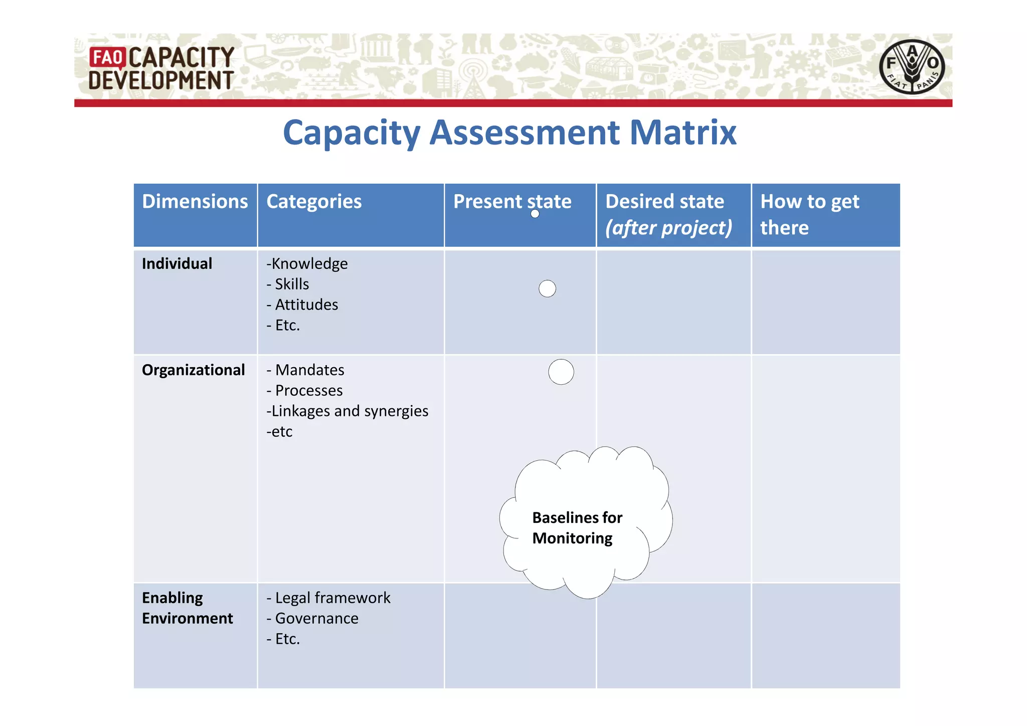 Capacity Development for Enhanced Sustainability and Impact | PDF