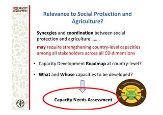 Relevance to Social Protection and
Agriculture?
Synergies and coordination between social
protection and agriculture……..
may require strengthening country-level capacities
among all stakeholders across all CD dimensions
• Capacity Development Roadmap at country-level?
• What and Whose capacities to be developed?

Capacity Needs Assessment

 