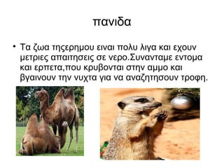 πανιδα

    Τα ζωα τηςερημου ειναι πολυ λιγα και εχουν
    μετριες απαιτησεις σε νερο.Συνανταμε εντομα
    και ερπετα,που κρυβονται στην αμμο και
    βγαινουν την νυχτα για να αναζητησουν τροφη.
 