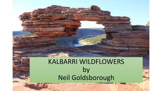 KALBARRI WILDFLOWERS
by
Neil Goldsborough
 