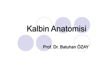 Kalbin Anatomisi
Prof. Dr. Batuhan ÖZAY
 