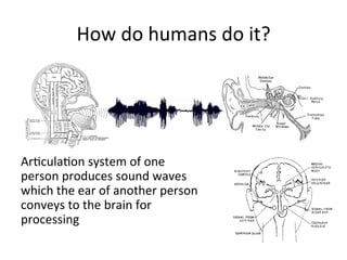 How+do+humans+do+it?+
Ar4cula4on+system+of+one+
person+produces+sound+waves+
which+the+ear+of+another+person+
conveys+to+the+brain+for+
processing+
 