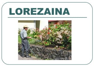 LOREZAINA
 