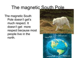 The magnetic South Pole  The magnetic South Pole doesn’t get’s much respect. It doesn’t get  more respect because most people live in the north.  