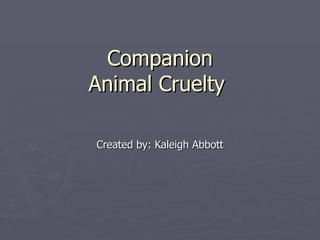 Companion
Animal Cruelty

Created by: Kaleigh Abbott
 