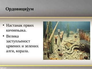 Ордовицијум
• Настанак првих
кичмењака.
• Велика
заступљеност
црвених и зелених
алги, корала.
 