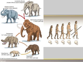 Kalendar života.pdf