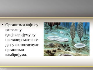 • Организми који су
живели у
едијакаријуму су
нестали; сматра се
да су их потиснули
организми
камбријума.
 