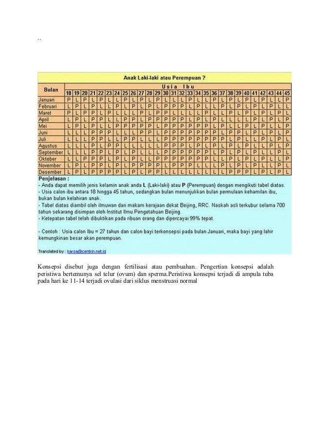 Kalender Cina