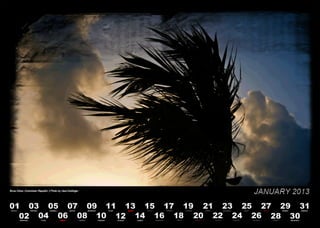 limited caribbean Kalender 2013 Kalender vorschau