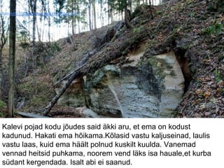 foto:http://pilt.delfi.ee/picture/16240189/
Kalevi pojad kodu jõudes said äkki aru, et ema on kodust
kadunud. Hakati ema hõikama.Kõlasid vastu kaljuseinad, laulis
vastu laas, kuid ema häält polnud kuskilt kuulda. Vanemad
vennad heitsid puhkama, noorem vend läks isa hauale,et kurba
südant kergendada. Isalt abi ei saanud.
 