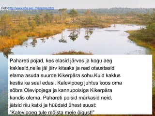 Foto:http://www.obs.ee/~maris/mis.html
Pahareti pojad, kes elasid järves ja kogu aeg
kaklesid,neile jäi järv kitsaks ja nad otsustasid
elama asuda suurde Kikerpära sohu.Kuid kaklus
kestis ka seal edasi. Kalevipoeg juhtus koos oma
sõbra Olevipojaga ja kannupoisiga Kikerpära
kandis olema. Pahareti poisid märkasid neid,
jätsid riiu katki ja hüüdsid ühest suust:
”Kalevipoeg tule mõista meie õigust!”
 