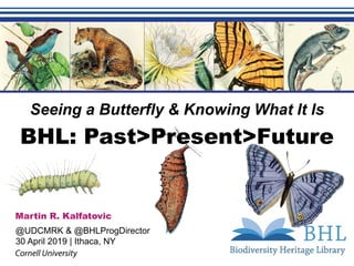 Free & Open Access to
Biodiversity Literature
Seeing a Butterfly & Knowing What It Is
Martin R. Kalfatovic
@UDCMRK & @BHLProgDirector
30 April 2019 | Ithaca, NY
BHL: Past>Present>Future
 