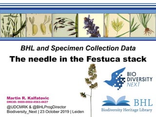 Free & Open Access to
Biodiversity Literature
BHL and Specimen Collection Data
Martin R. Kalfatovic
ORCID: 0000-0002-4563-4627
@UDCMRK & @BHLProgDirector
Biodiversity_Next | 23 October 2019 | Leiden
The needle in the Festuca stack
 
