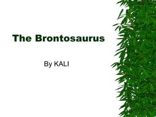 The Brontosaurus By KALI 