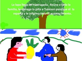 La lapa llega de madrugada. Reúne a toda la
familia, le entrega la piña a Tsamani para que él la
    reparta y le informa todo el acontecimiento.
 